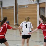 2017_01_08 Landesliga Frauen u. J19
